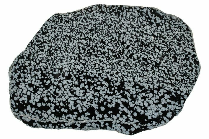 Polished Snowflake Obsidian Slab - Wyoming #336971